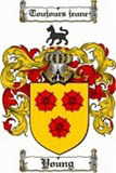 Arms of the Yonge family