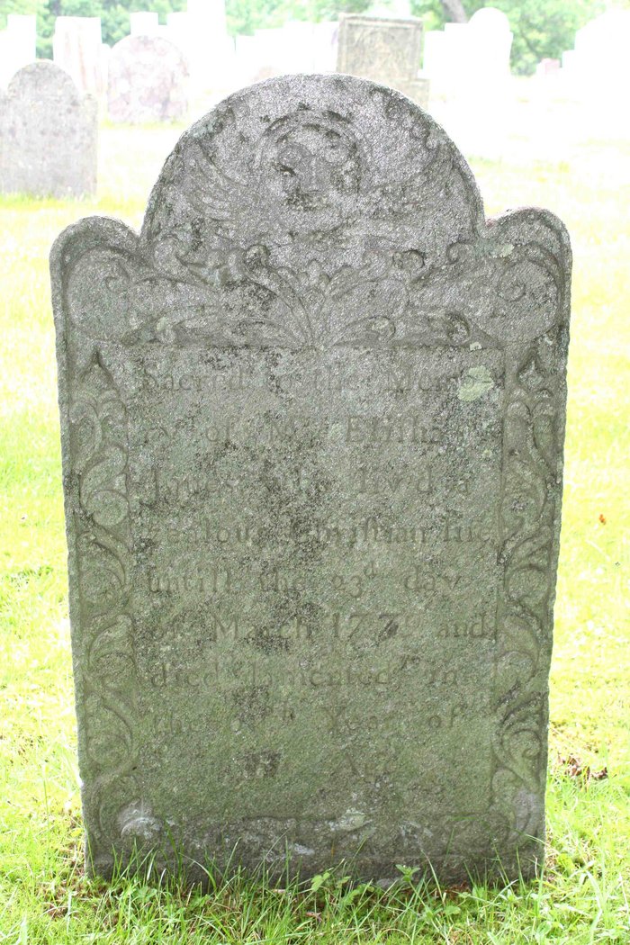 Gravestone of Elisha Janes