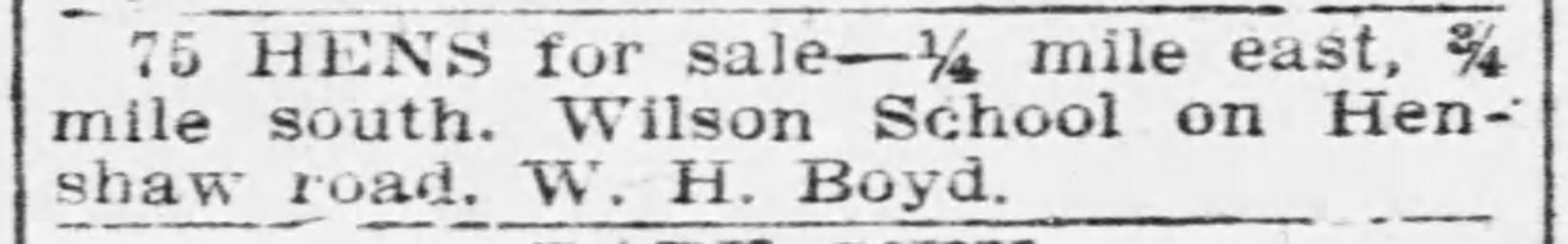 Ad for 75 hens sold by W. H. Boyd