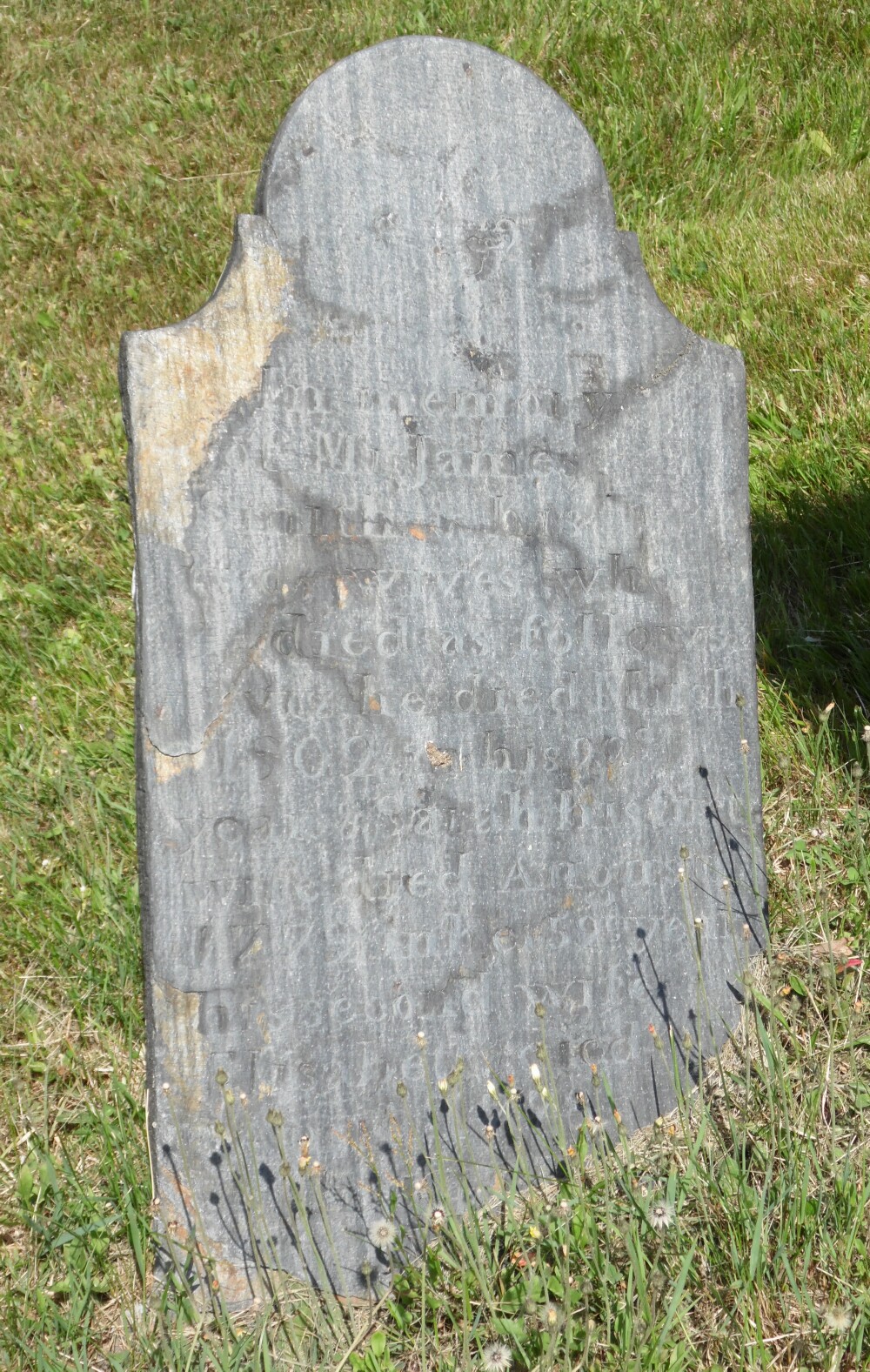 Gravestone of James Smith and his wives Sarah and Elizabeth