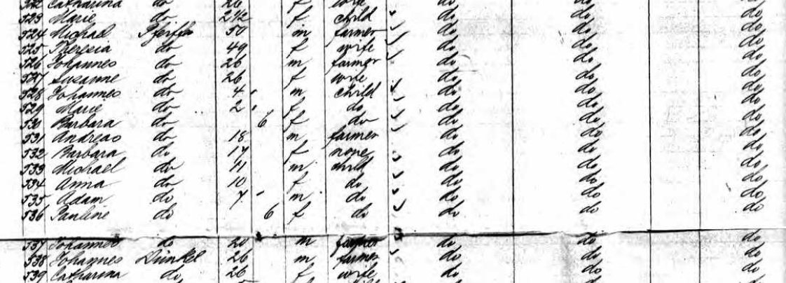 Passengers' list, including the Michael and Theresia Pfeifer family